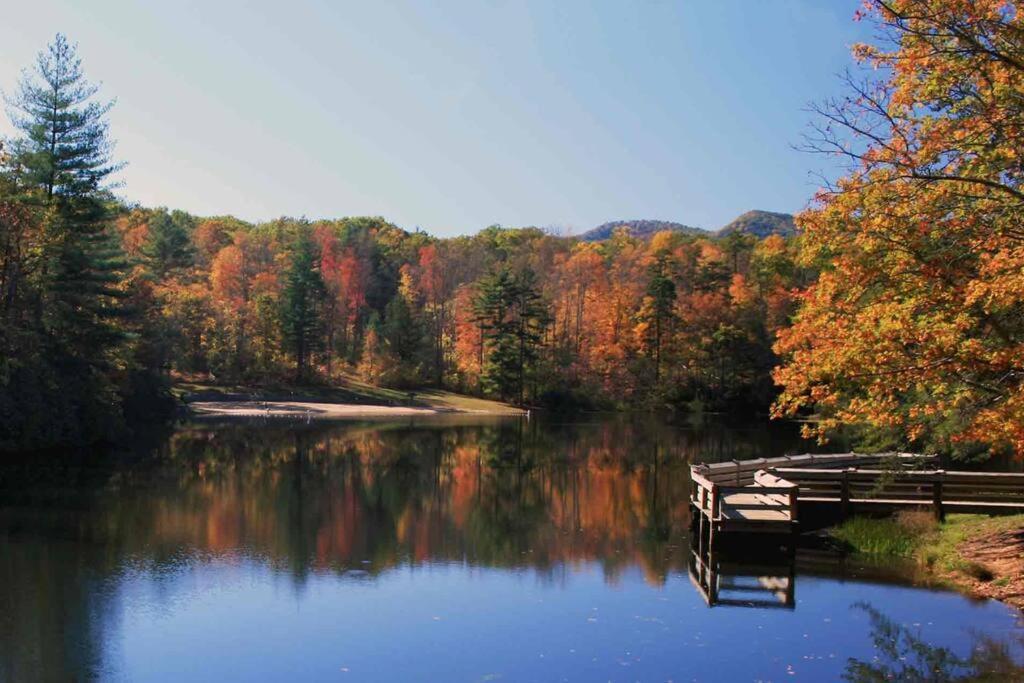 Bluebirds Nest 10 Min To Avl Biltmore Hot Tub Cont Bkfst Sparkling Water Эшвилл Экстерьер фото
